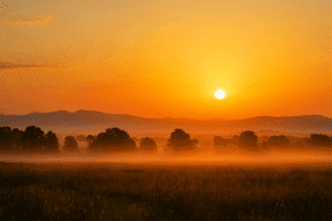 morning sunrise